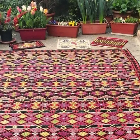 Affittacamere La Vignaredda - Residenza Di Charme Aggius