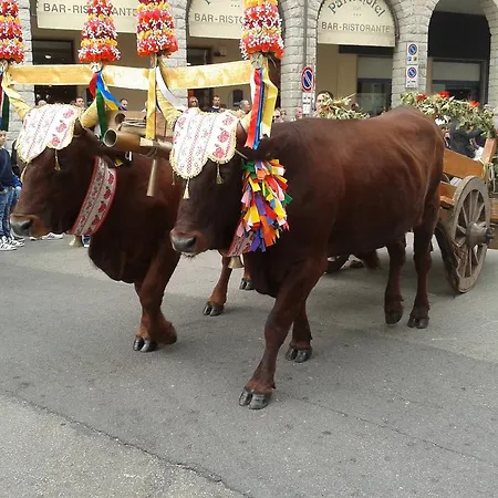 Pensjonat La Vignaredda - Residenza Di Charme Aggius