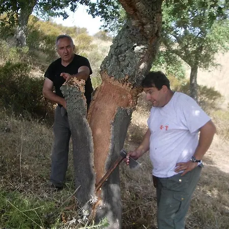 Gasthof La Vignaredda - Residenza Di Charme