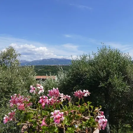 Guest house La Vignaredda - Residenza Di Charme *